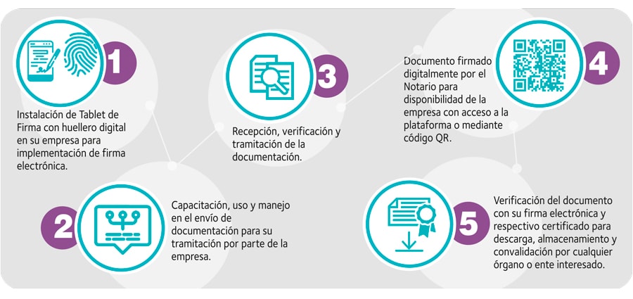 Flujo de trabajo notaría ronchera